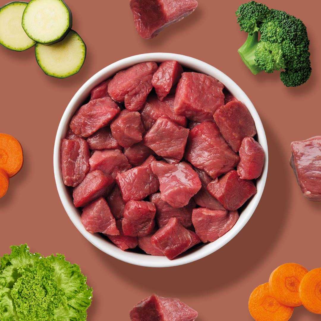 All-in-One Nuggets Pferd - Image 5