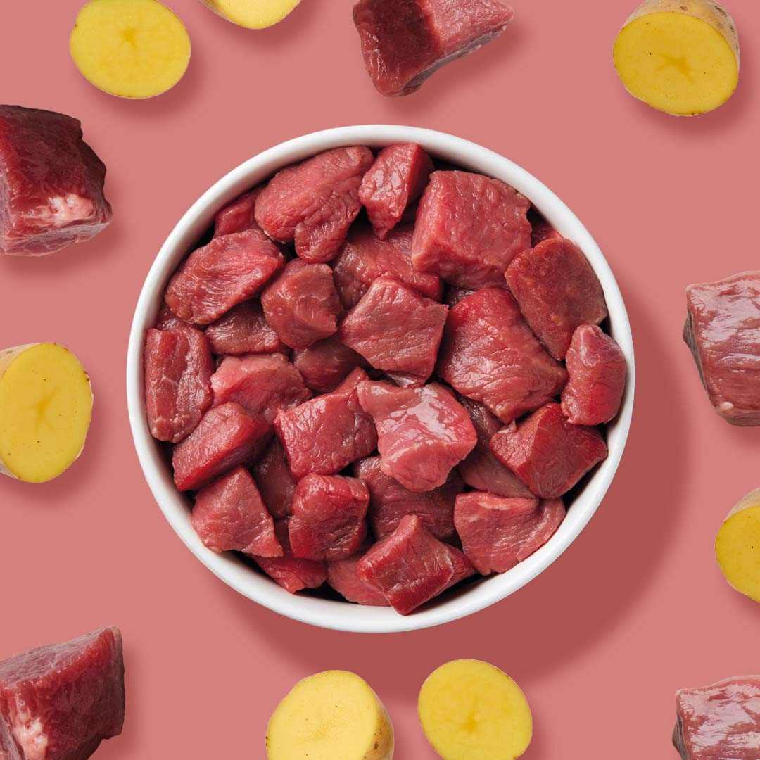 All-in-One Nuggets CAT Rind & Lamm - Image 5