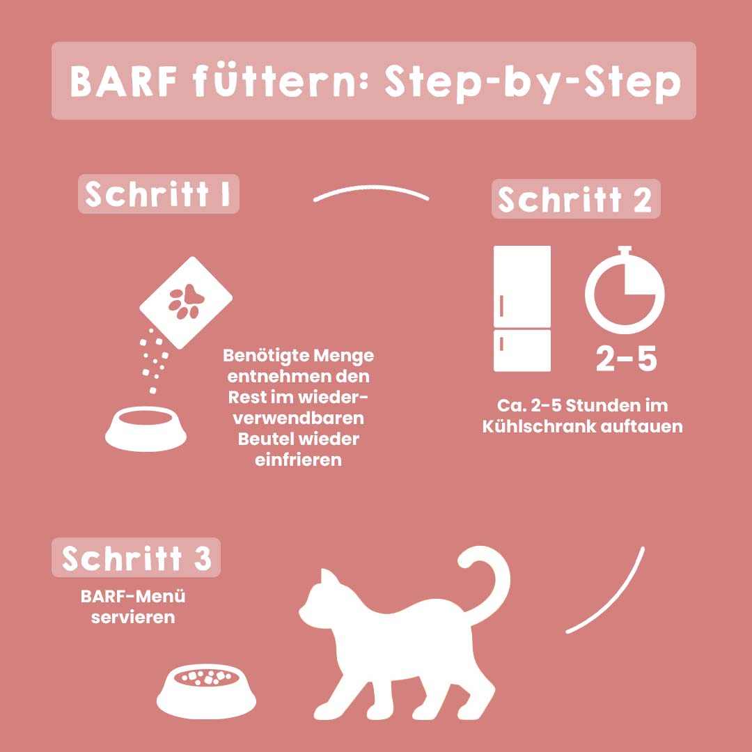 All-in-One Nuggets CAT Rind & Lamm - Image 7