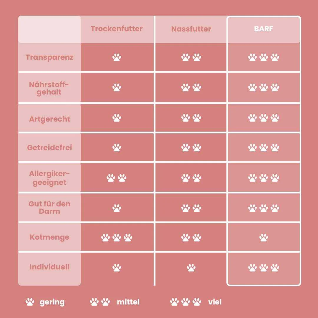All-in-One Nuggets CAT Rind & Lamm - Image 8