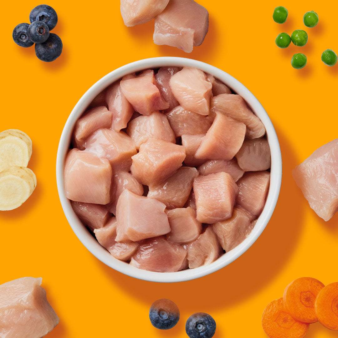 BARF Gourmet PLUS Huhn - Image 6