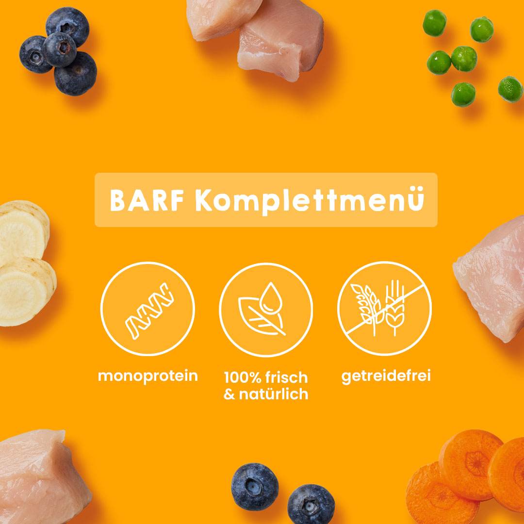 BARF Gourmet PLUS Huhn - Image 7