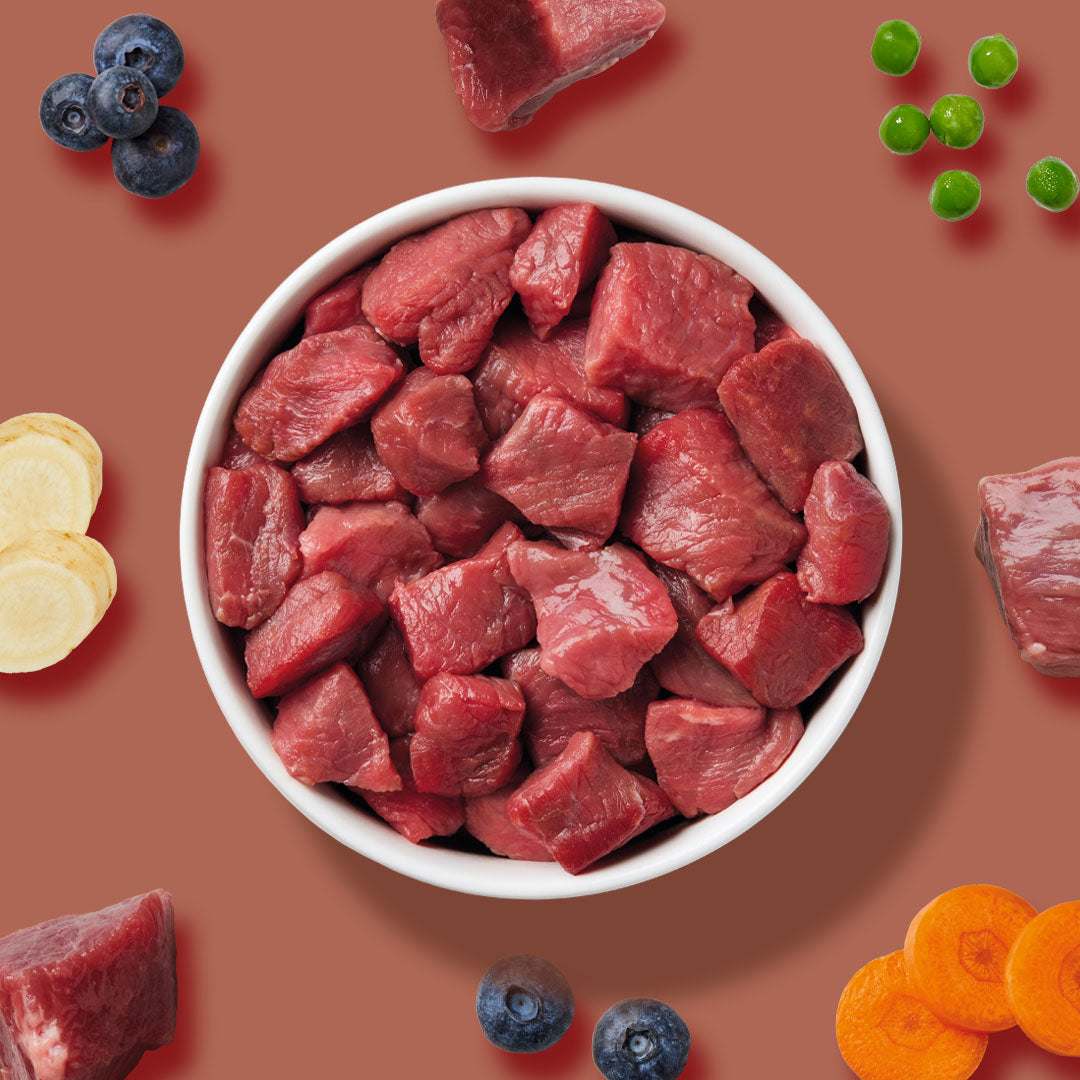 BARF Gourmet PLUS Pferd - Image 6