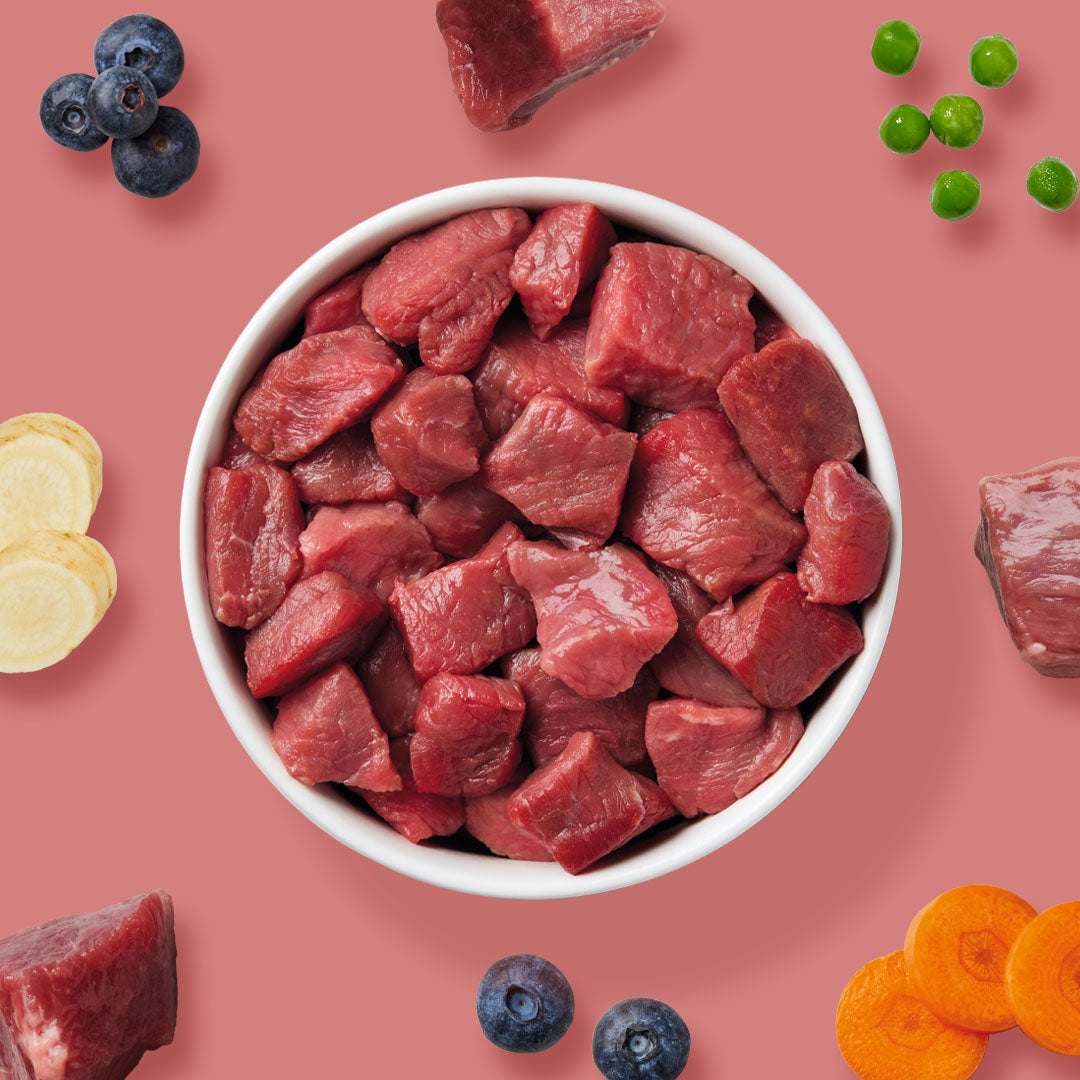 BARF Gourmet PLUS Rind - Image 6