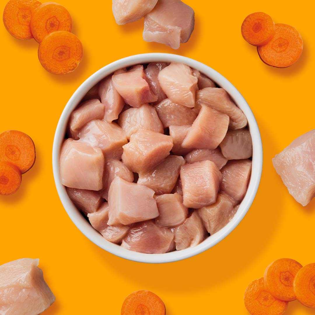 BARF Komfort PLUS CAT Huhn - Image 4