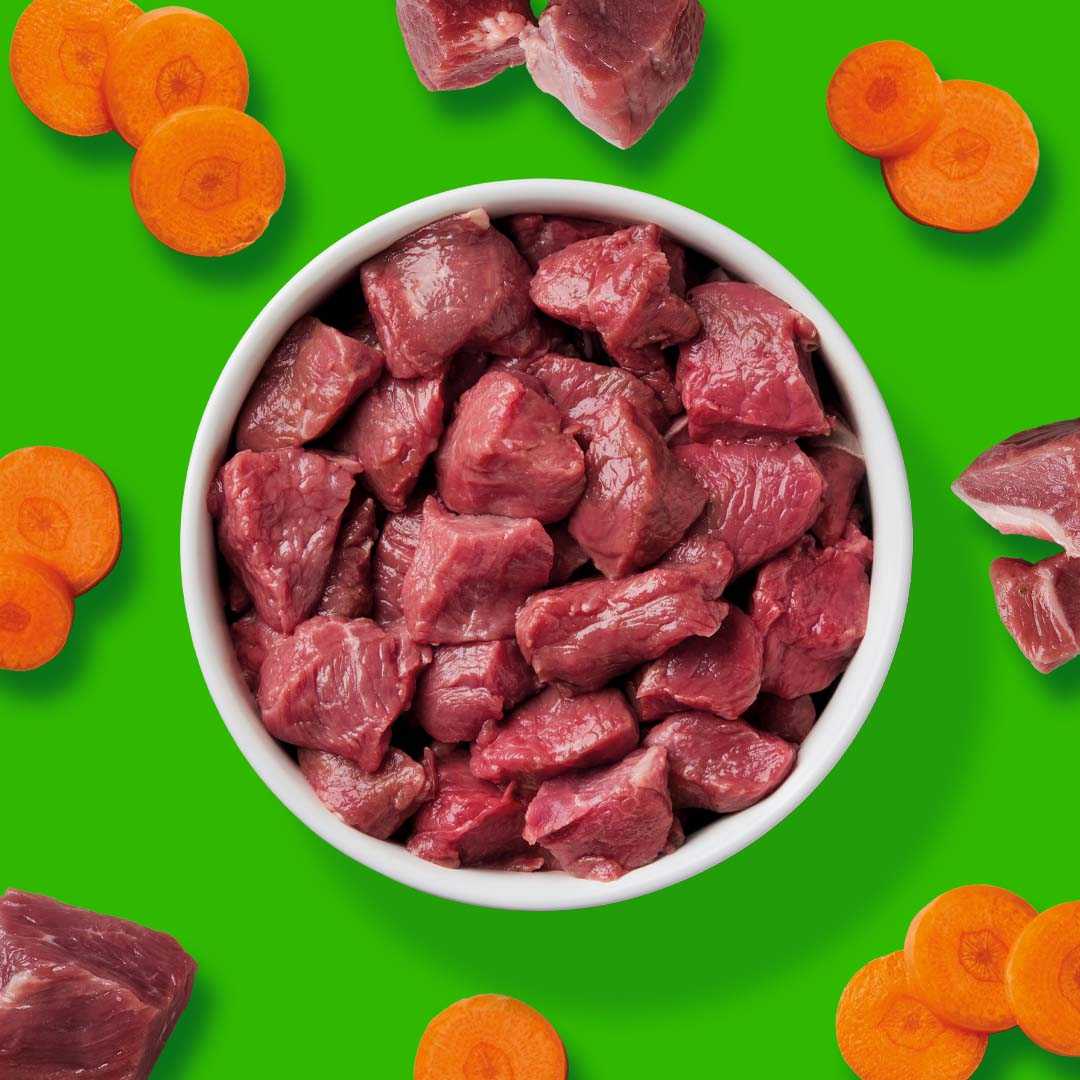 BARF Komfort PLUS CAT Lamm - Image 4