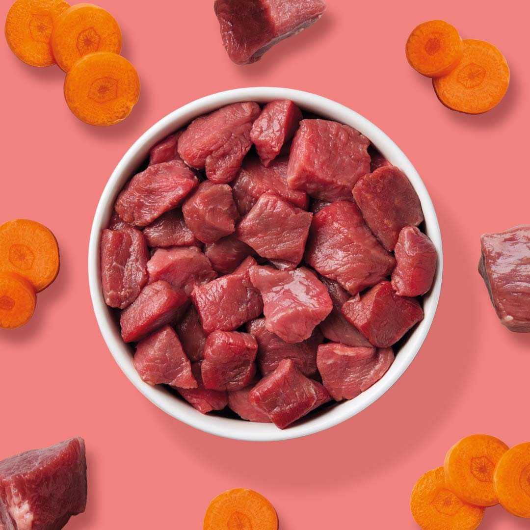 BARF Komfort PLUS CAT Rind - Image 4