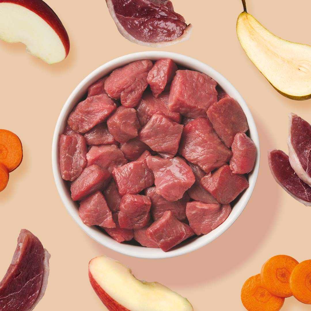 BARF Komfort PLUS Ente - Image 5