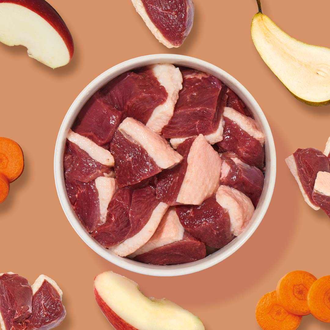 BARF Komfort PLUS Gans - Image 5