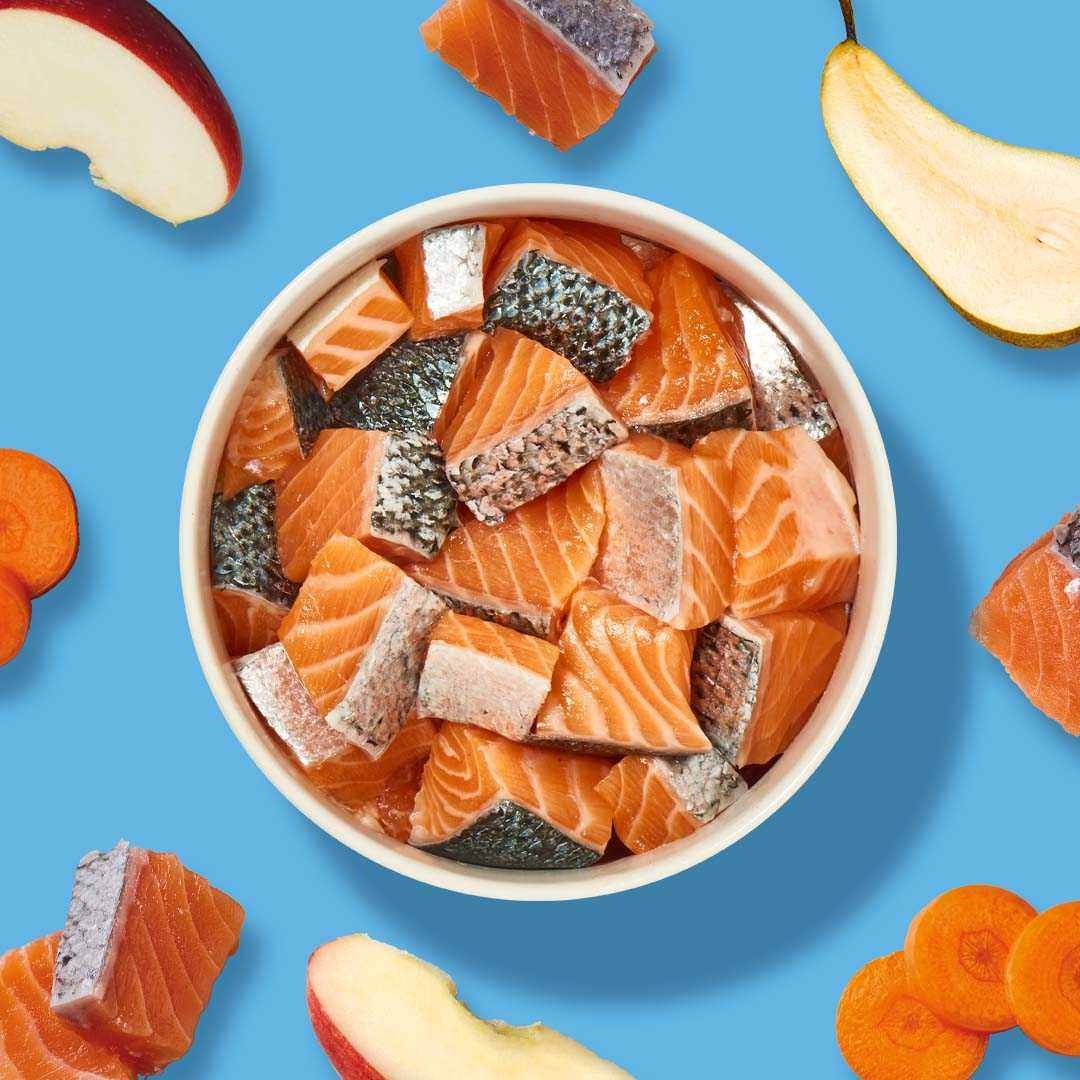 BARF Komfort PLUS Lachs - Image 5