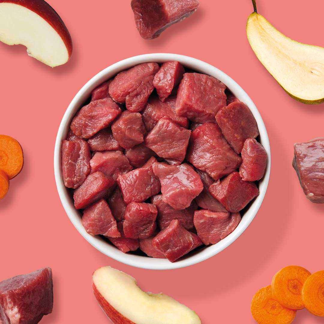 BIO BARF Komfort PLUS Rind AT-BIO-301 - Image 5