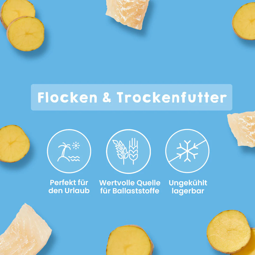 Seefisch & Kartoffel - Image 4