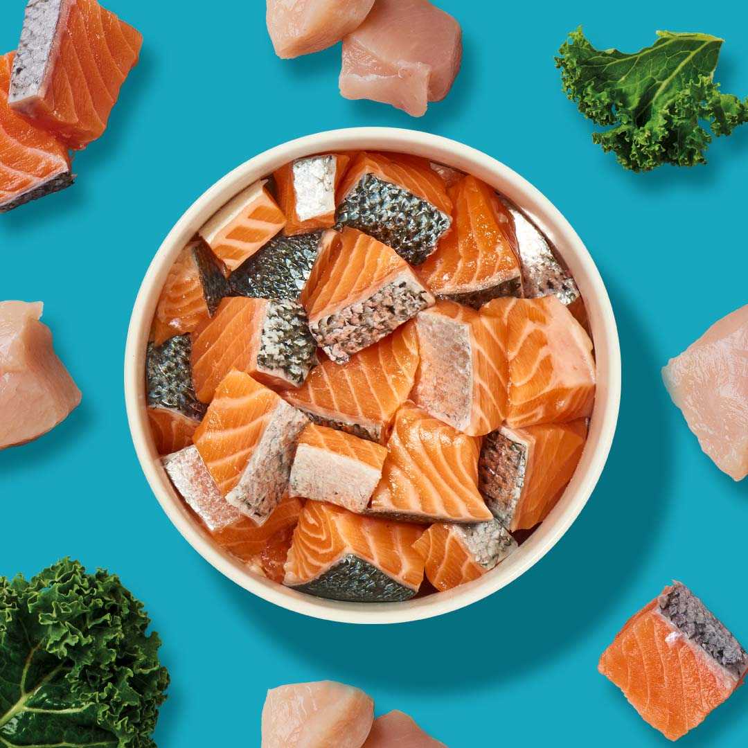 Köttbullar Huhn & Lachs mit Pansen - Image 5