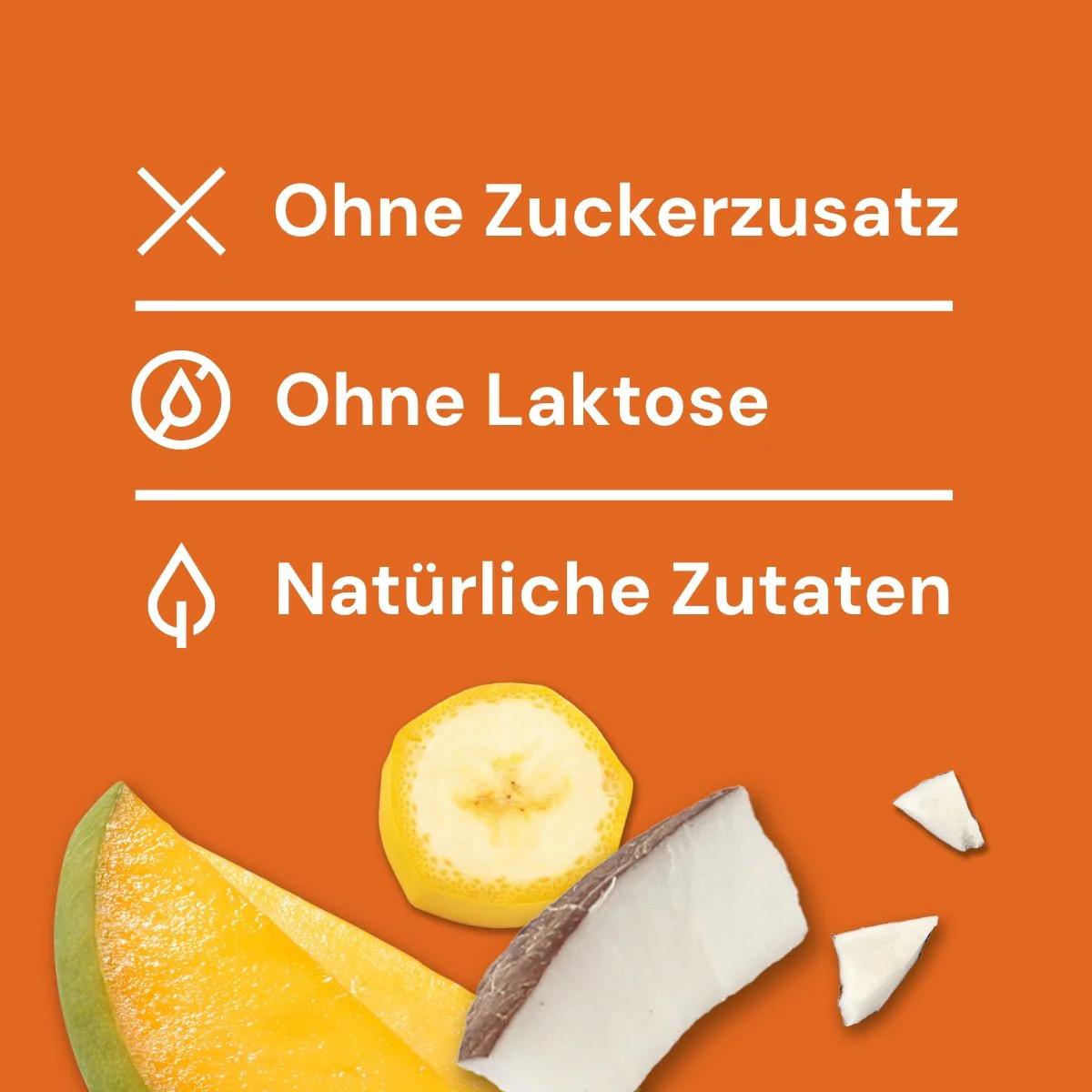 Nutriment HundeEis® Banane, Kokos-Joghurt & Mango - Image 3