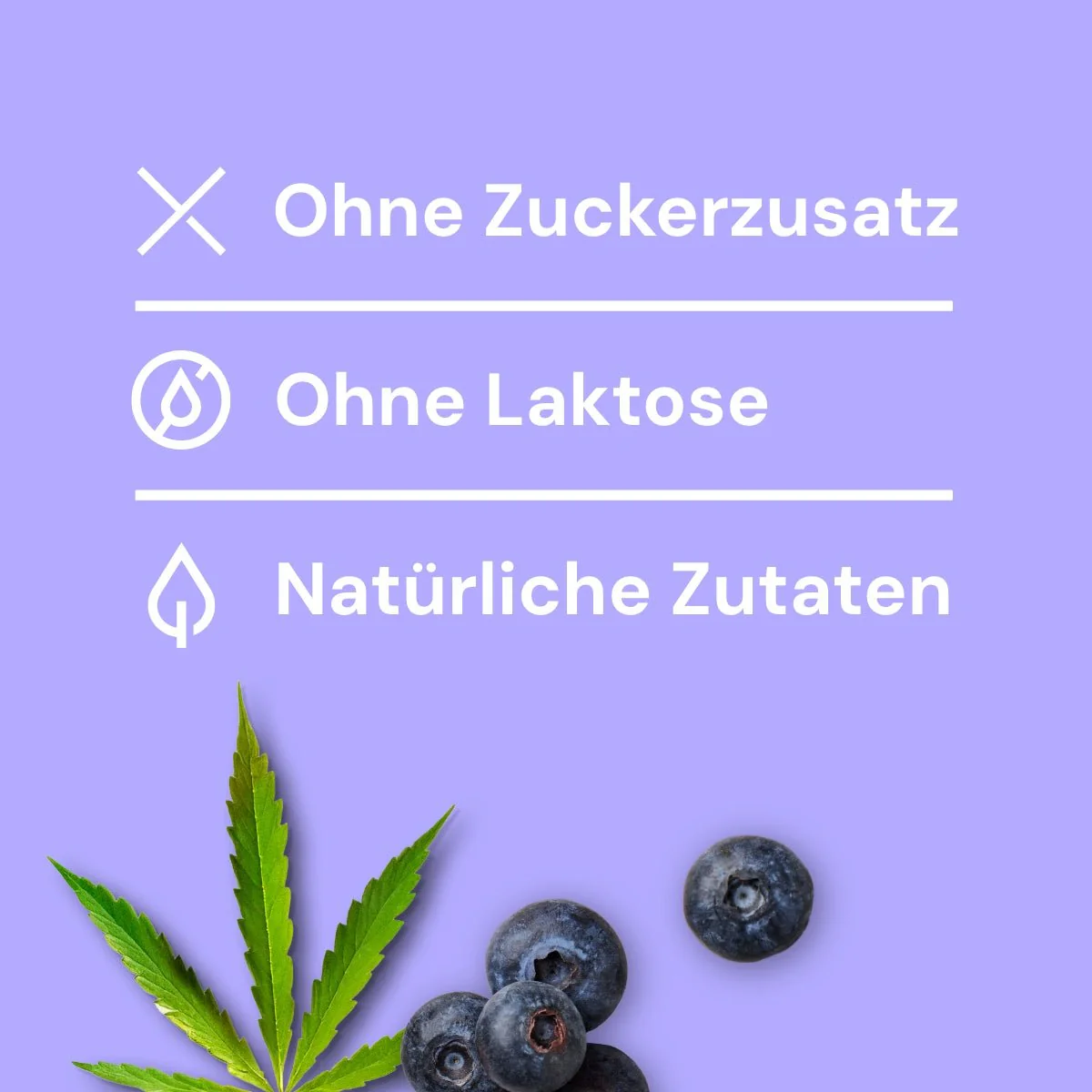 Nutriment HundeEis Hanf & Blaubeere - Image 3