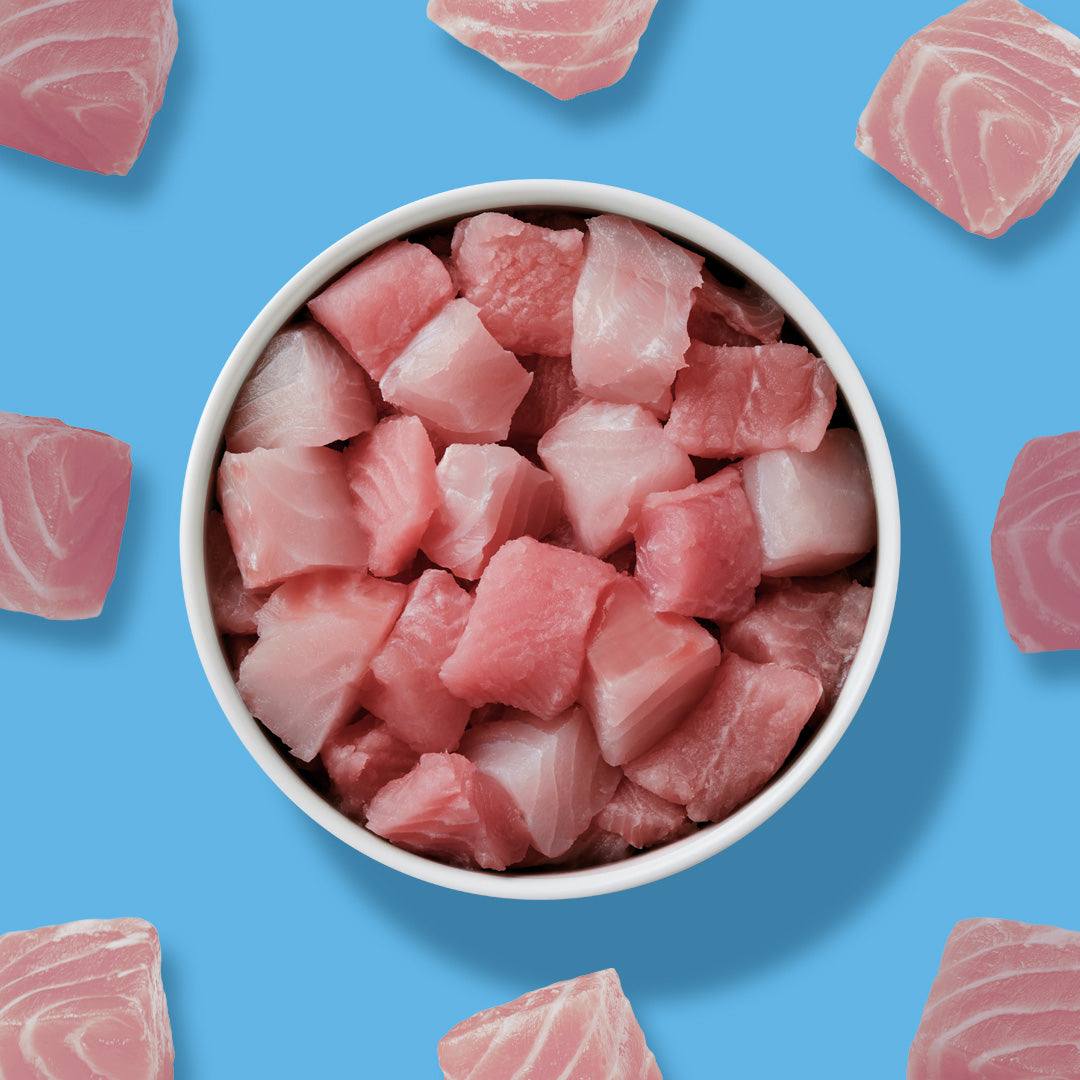 Thunfischfilet gewürfelt - Image 3