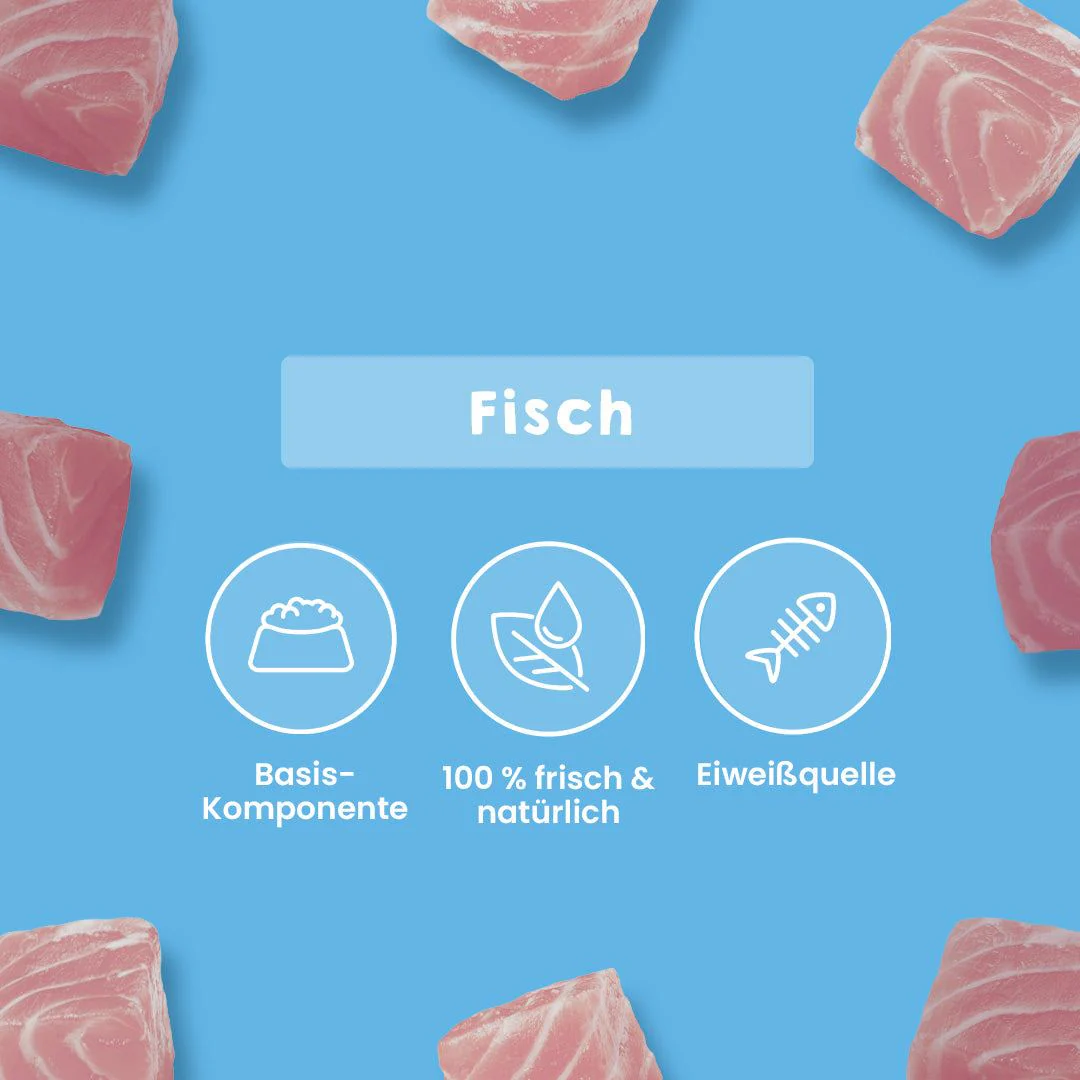 Thunfischfilet gewürfelt - Image 4